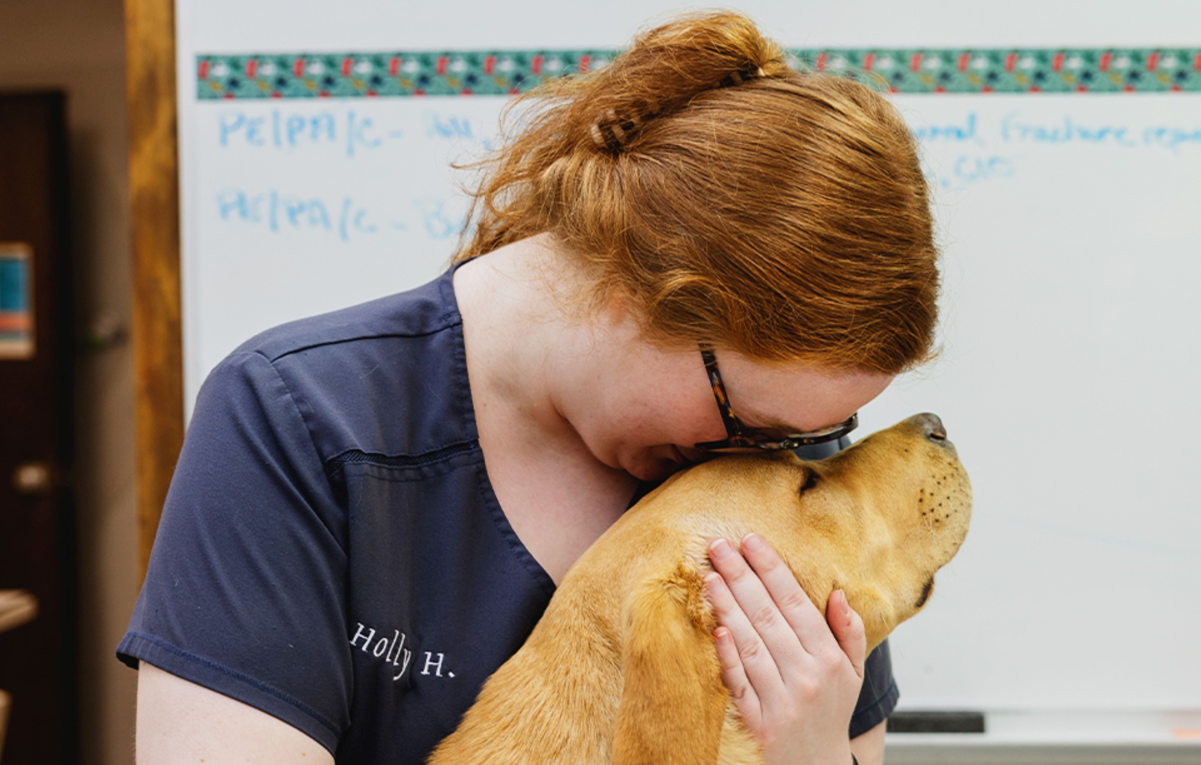 robinson animal hospital employee hugging a dog