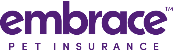 embrace logo